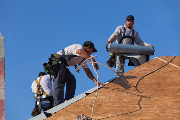 Best Roof Maintenance Services  in Brewer, ME